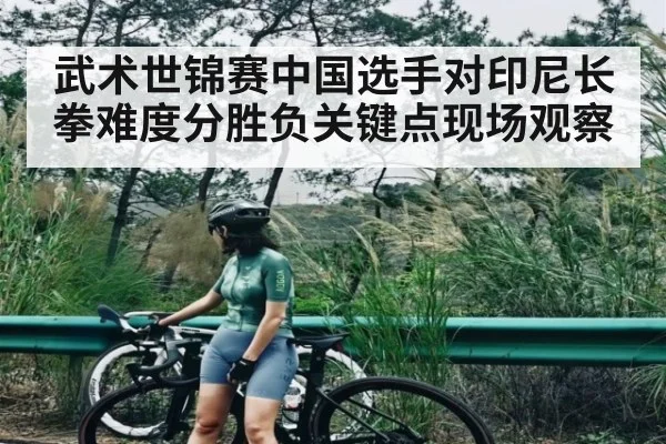 武术世锦赛中国选手对印尼长拳难度分胜负关键点现场观察