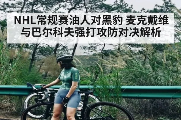 NHL常规赛油人对黑豹 麦克戴维与巴尔科夫强打攻防对决解析